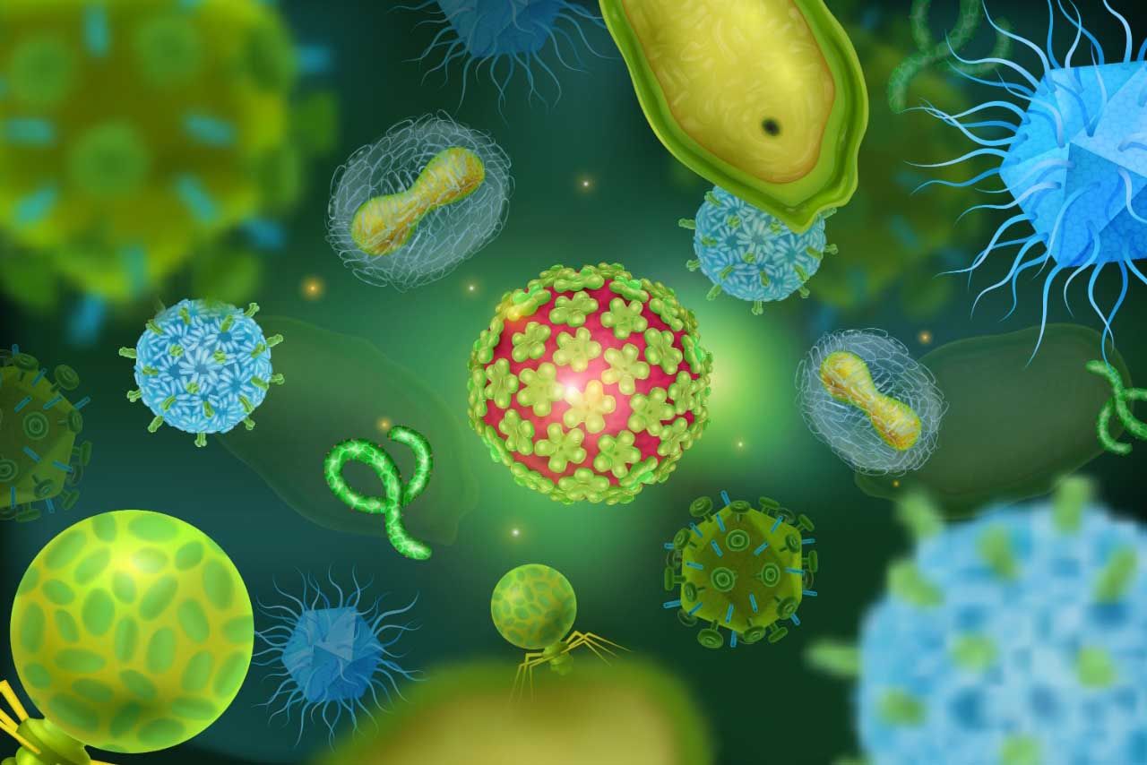 Jelajahi Proses Replikasi Virus dalam Tubuh Manusia.